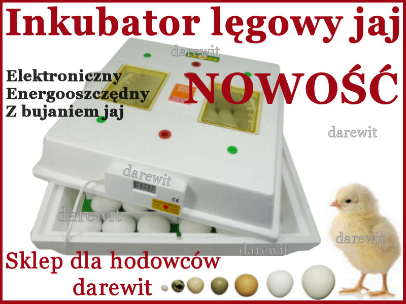 INKUBATOR JAJ lęgowy Kwoczka półautomat Najtaniej