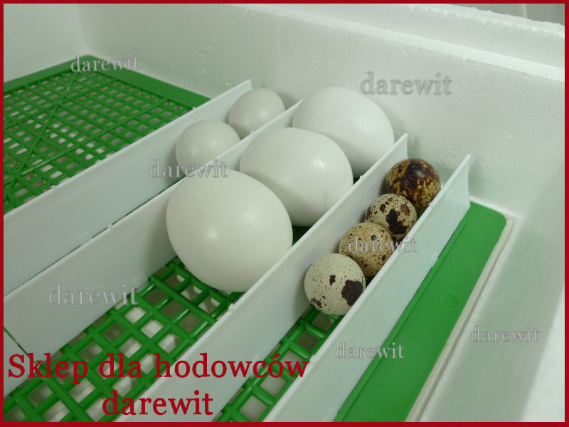 taca lęgowa inkubatora jaj