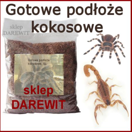 gotowe podłoże do terrarium - sklep darewit Warszawa