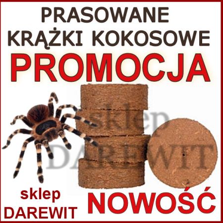 kokos w krążkach -inkubator dla gadów sklep darewit Warszawa