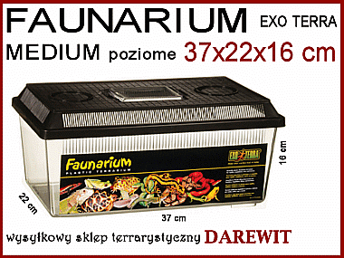 pojemniki do terrarium - sklep darewit Warszawa