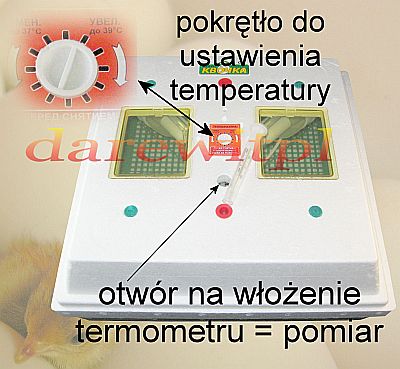 inkubator z termometrem