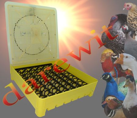 inkubator z obracaniem jaj