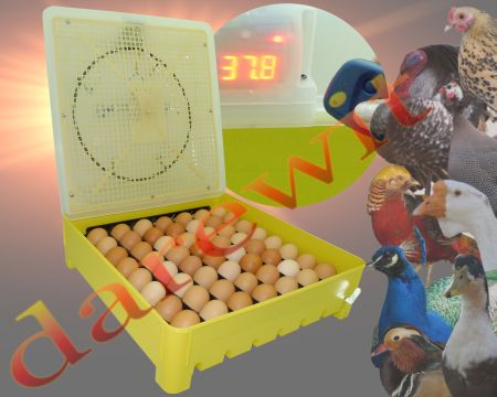 Inkubator LĘGOWY półautomatyczny Inkubator do jaj darewit