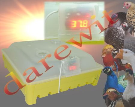 wylęgarka elektroniczna automat
