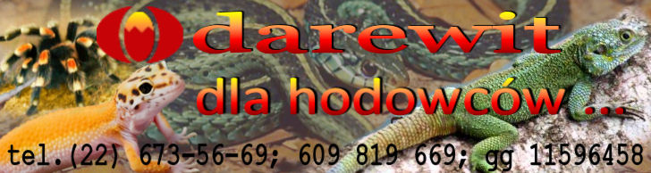 sklep internetowy darewit zaprasza