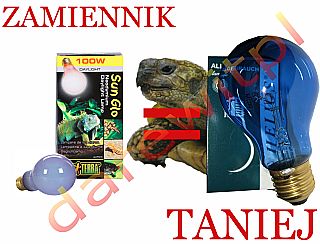 tani odpowiednik Sun Glo Terra Helios światło dzienne - sklep darewit