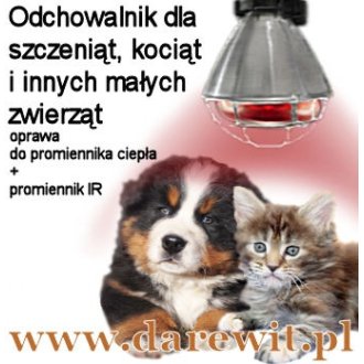 Lampa 250W do ogrzewania szczeniąt - ciepły kojec - Psy rasy dużej - Zdrowy miot