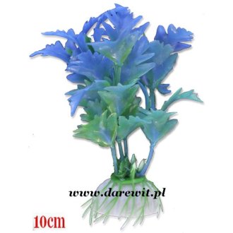 niebiesko zielona roślinka do terrarium akwarium
