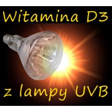Witamina D3 słońce z lampy UVB