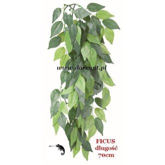 FICUS 70cm TERRA PLANT- wisząca sztuczna roślina do terrarium kameleona