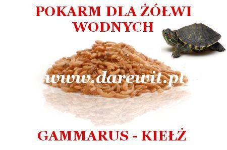 pokarm dla żółwia sklep darewit Warszawa