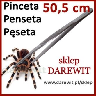 Pęseta penseta 50cm dla pająków