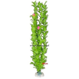  Piękna roślina do terrarium tropikalnego 40cm