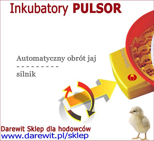 automatyczny inkubator dla ptaków - darewit Warszawa