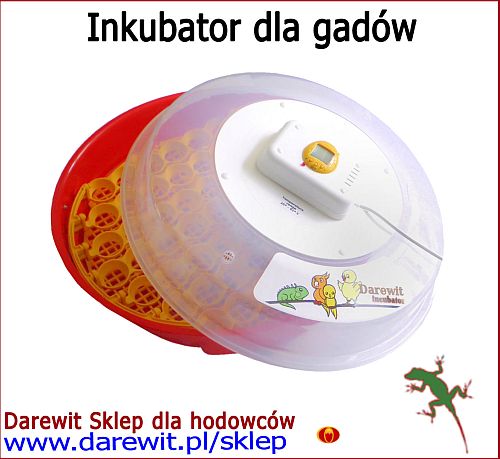inkubator dla gadów - darewit