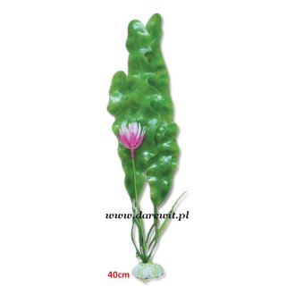 Onowodek do terrarium roślina 40cm