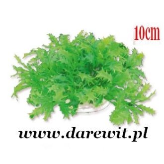 Zielona sztuczna roślina do terrarium