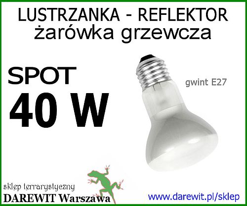 żarówka 40W, spot 40W do terrarium - sklep terrarystyczny darewit Warszawa