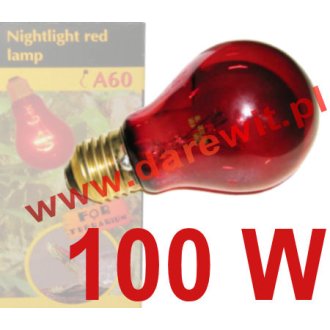 Night Heat 100W, NightGlo Red 100W tradycyjna żarówka nocna jak Zoo Med