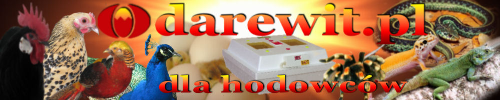 sklep darewit.pl Akcesoria hodowlane, inkubatory wylęgarki inne