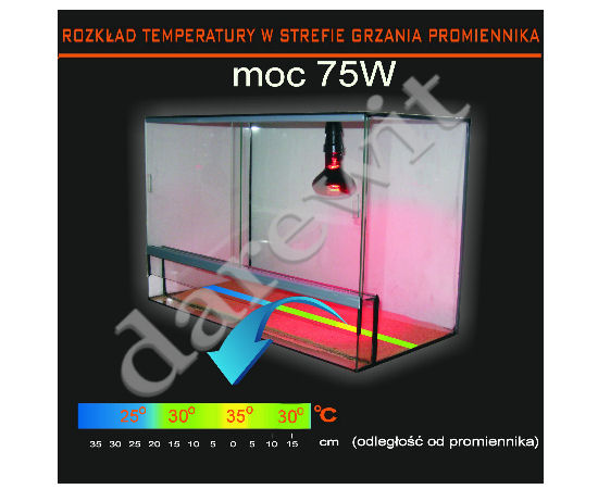 żarówka grzewcza 75W - sklep darewit