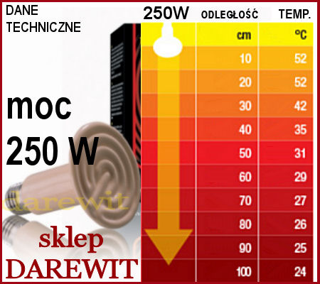 ogrzej żarówką ceramiczną 250W Exo Terra duże gady kup w sklep darewit Warszawa