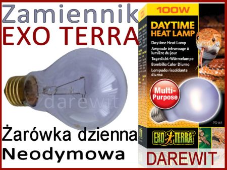 neodymowa żarówka 100W do terrarium - Darewit