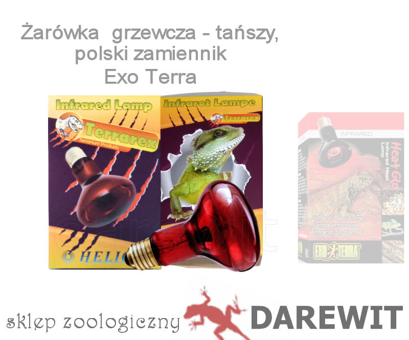 żarówka 50W do terrarium - sklep darewit