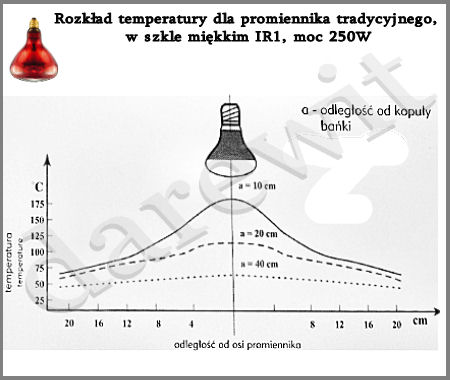 żarówka grzewcza 250W sklep Darewit
