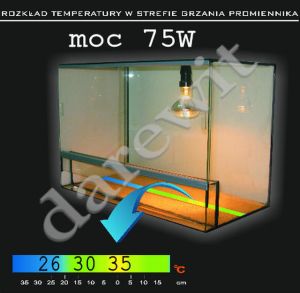 rozkład temperatur w terrarium, moc białej żarówki 75W