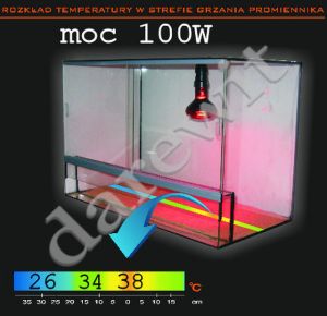 promiennik żarówka 100W - temperatura w terrarium