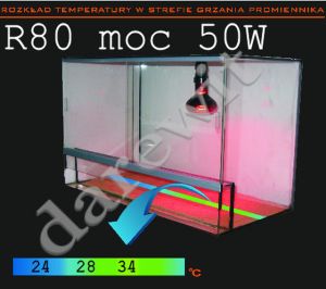 żarówka grzewcza rubin 50W - rozkład temperatury w terrarium