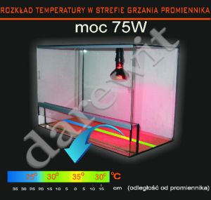 grzewczy promiennik 75W - temperatury w terrarium