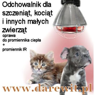 Lampa z żarówką grzejącą 125W - Ogrzewanie miotu i kojca - Psy rasy małej 