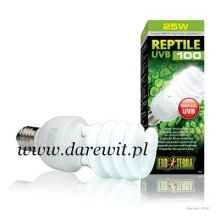 swietlowka-uv-dla-gadow-tropikalnych-w-terrarium swietlowka-uv-dla-gadow-tropikalnych-w-terrarium