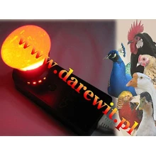 Tester jaj lęgowych - inkubacja bez tajemnic