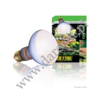 Żarówka dzienna 100W DAYLIGHT BASKING SPOT  Neodymium  EXO-TERRA PT2133