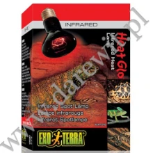 Żarówka grzewcza 75W terrarium Infrared Spot Exo Terra PT2142 Żarówka grzewcza 75W terrarium Infrared Spot Exo Terra PT2142