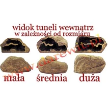 tunele-dla-gekona-doskonala-kryjowka
