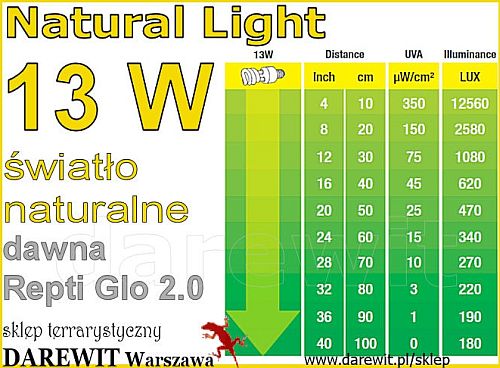 świetlówka 13W dla gadów i płazów Exo Terra - sklep darewit