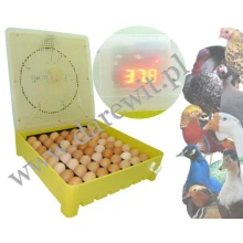 Oferta inkubatorów, klujników, wylęgarek - na każdą kieszeń