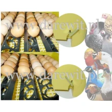 ruchoma taca na jajka, zmienna ułożenia