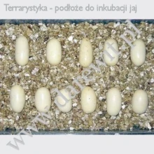 podloze-wermikulit-do-inkubacji-jaj-wezy podloze-wermikulit-do-inkubacji-jaj-wezy