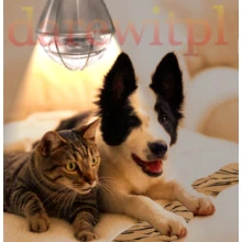 Ogrzewanie kojca dla psów, kotów, gryzoni