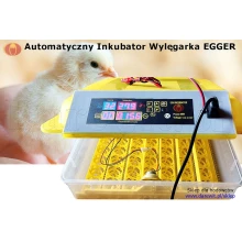 Automatyczna WYLĘGARKA KLUJNIK INKUBATOR JAJ
