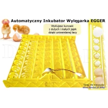 Automatyczny INKUBATOR WYLĘGARKA EGGER