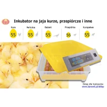 INKUBATOR NA JAJA KURZE PRZEPIÓRCZE AUTOMAT