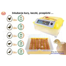 inkubator kurzy EGGER inkubacja ile dni