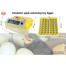 AUTOMAT KLUJNIK INKUBATOR jaj EGGER